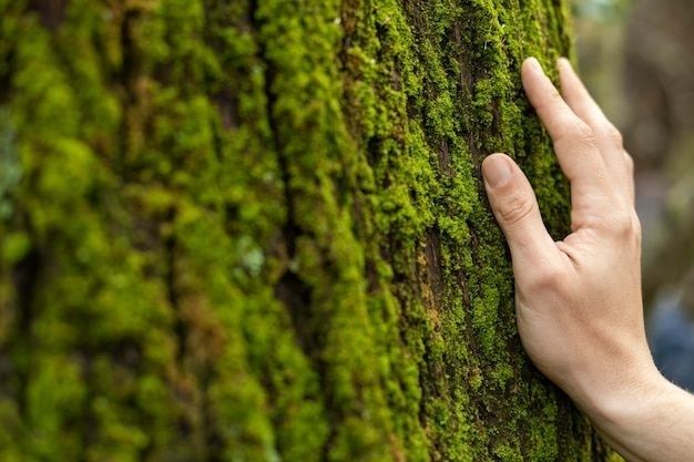 En hand vilar mot en mossbeklädd trädstam i skogen
